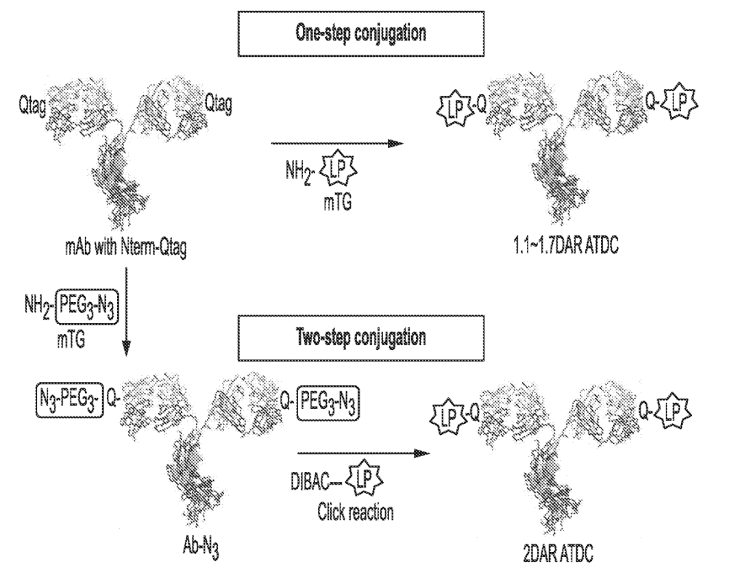 Innovative Applications of ADC Technology Beyond Oncology