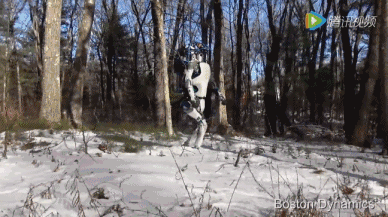 Daily Science: A Detailed Analysis of How Robots Work