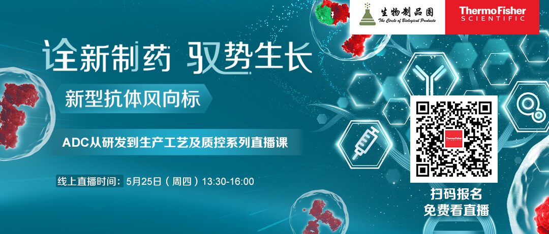 Key Factors Affecting ADC Efficacy