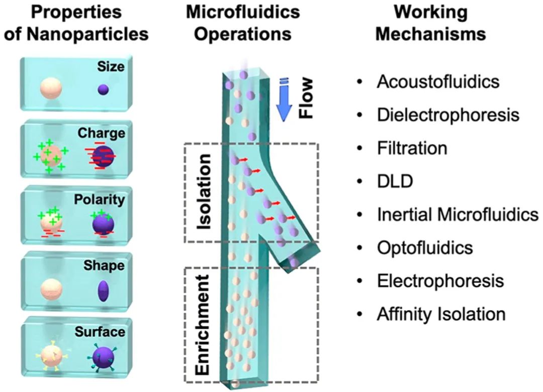 Microfluidic Isolation and Enrichment of Nanoparticles