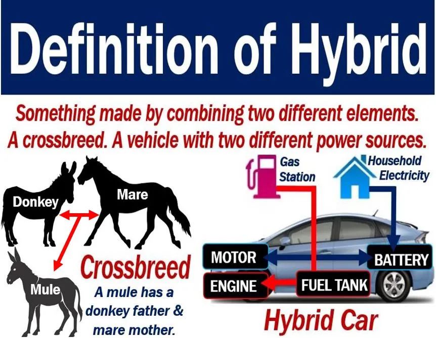 Automotive Terminology Glossary