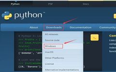 Beginner's Guide to Downloading and Installing Python