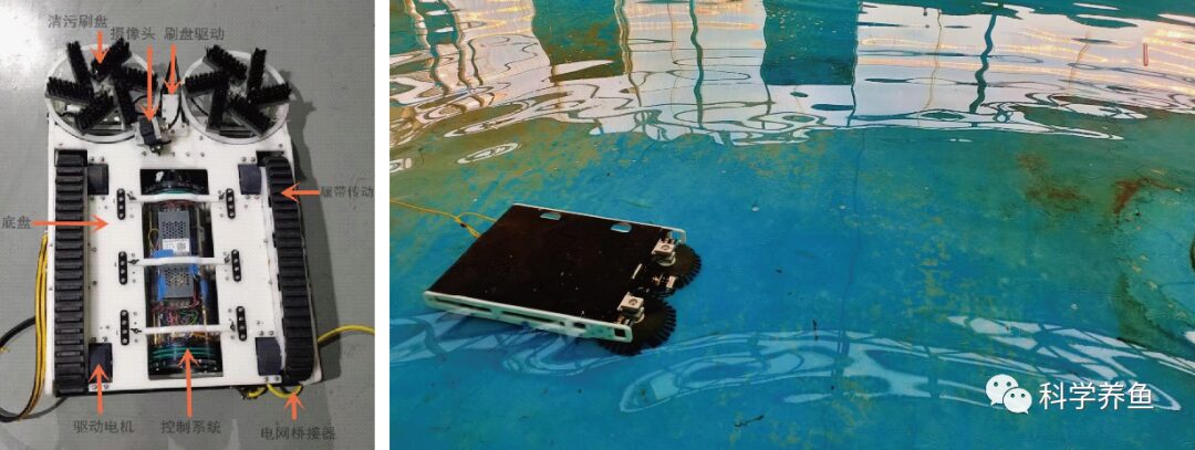 Understanding Core Technologies and Equipment for Industrial Recirculating Aquaculture