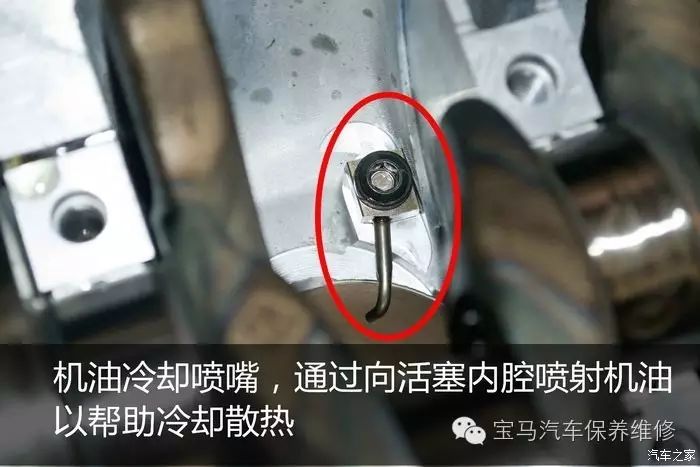 Engine Damage After ECU Tuning: 328 Engine Revival Journey