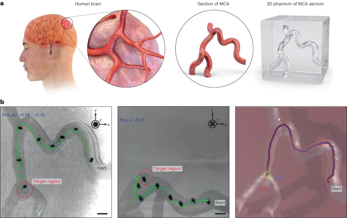 Reinforcement Learning for Autonomous 3D Control of Magnetic Microrobots