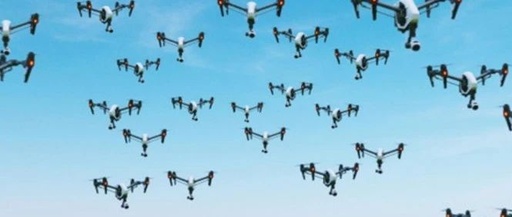 Unveiling Low-Altitude Flight: Drones, Self-Organizing Networks, and Pilots