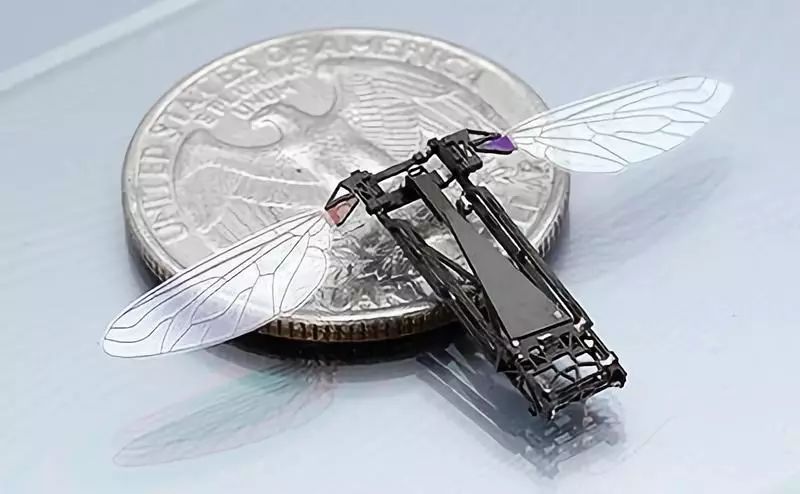 Micro Robots and Their Capabilities