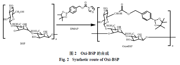 Preparation and Characterization of ROS-Responsive Bletilla Striata Polysaccharide Drug-Loaded Micelles