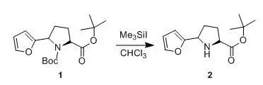 Protection of Amines with Boc Group
