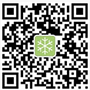 A Non-Professional Comparison of Various Open Source Disassembly Engines