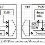 BlackHat Topic: Expanding Botnets Using Satellite Receivers