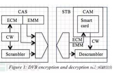 BlackHat Topic: Expanding Botnets Using Satellite Receivers