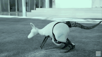 Daily Science: A Detailed Analysis of How Robots Work