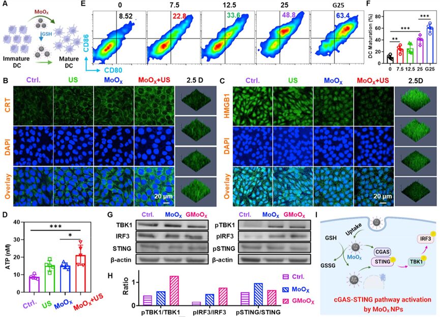 Oxygen-Deficient Molybdenum Oxide Nanosensitizers for Ultrasound-Enhanced Cancer Metalloimmunotherapy