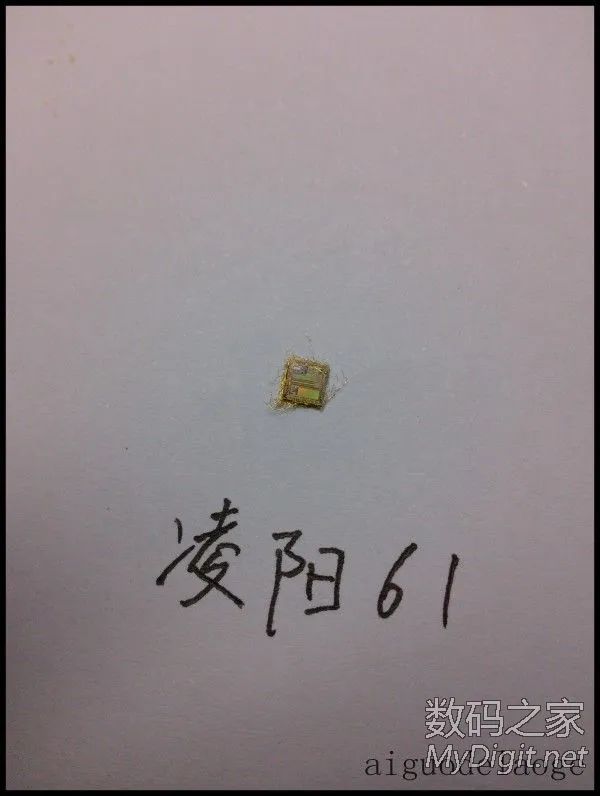 Chip-Level Disassembly of 5 Microcontrollers: 51, AVR, MSP430, Lingyang 61, PIC