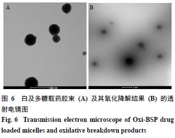 Preparation and Characterization of ROS-Responsive Bletilla Striata Polysaccharide Drug-Loaded Micelles