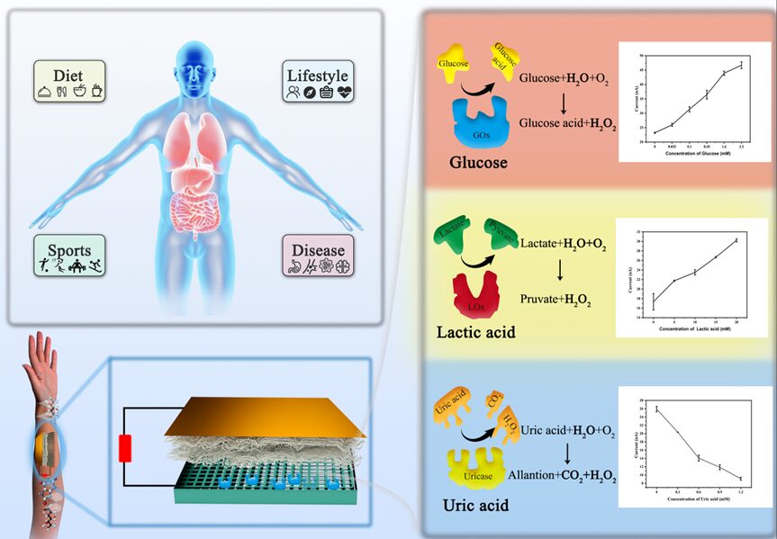 Nano Energy Develops Self-Powered Friction Sensor for Wearable Monitoring