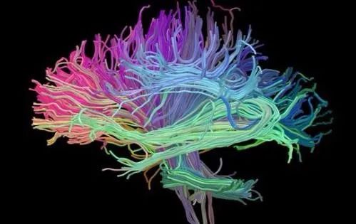 High-Order Diffusion Models in MRI