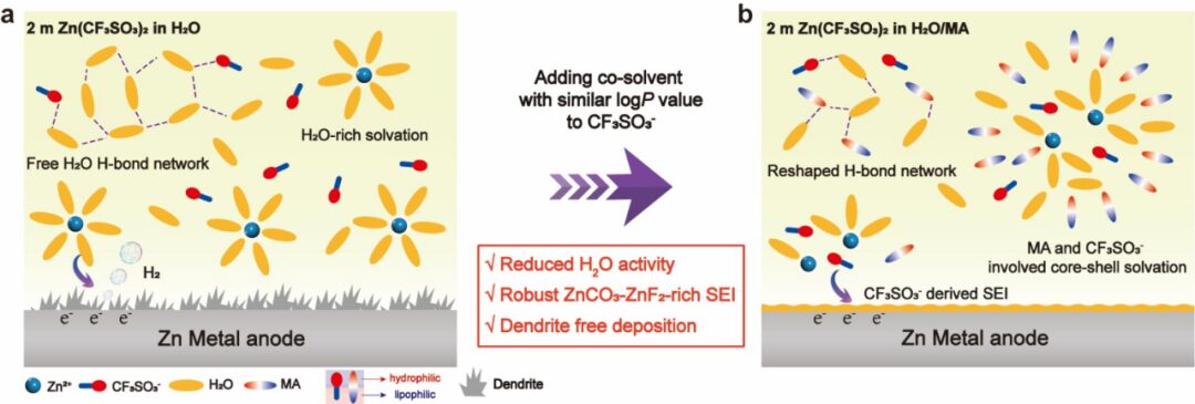 Salt Anion Amphiphilicity-Activated Electrolyte Cosolvent Selection Strategy for Durable Zn Metal Anode