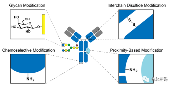 Comprehensive Overview of Antibody-Drug Conjugates (ADCs)