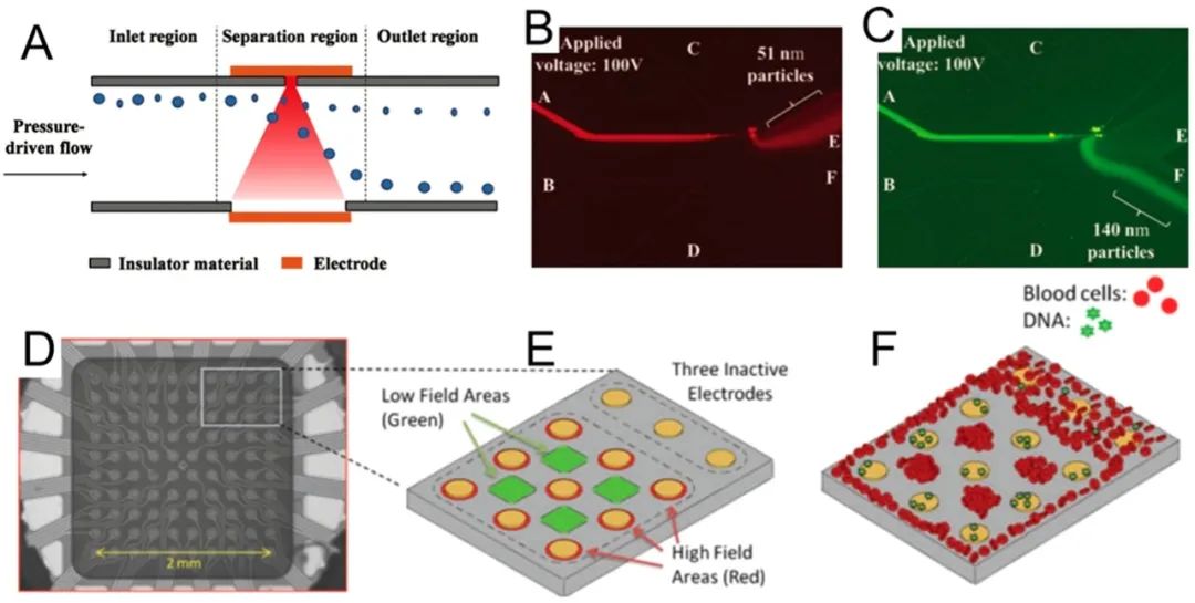 Microfluidic Isolation and Enrichment of Nanoparticles