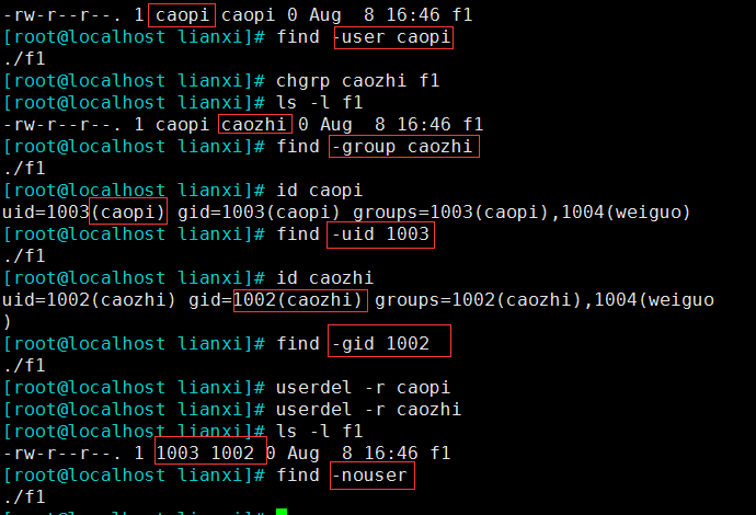 Linux File Search Tools: Locate vs Find