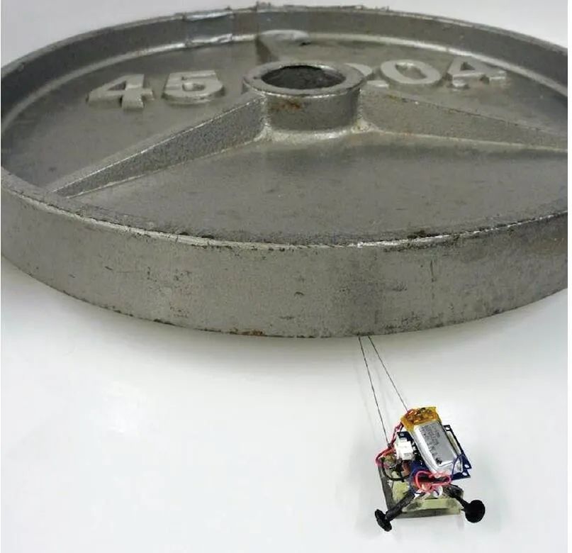 Micro Robots Showcasing Unique Abilities