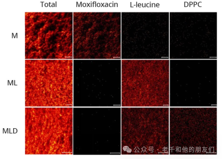 Interpretation of Time-of-Flight Secondary Ion Mass Spectrometry (ToF-SIMS) Technology