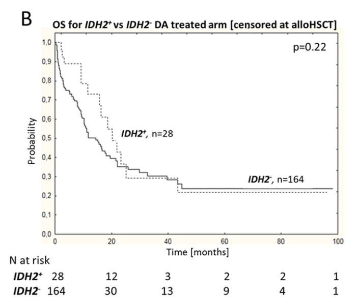 Cladribine Induction Therapy Improves Prognosis in IDH2 Mutant NK-AML Patients