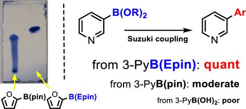 New Stable Aryl Boronic Esters on Silica Gel with Higher Suzuki-Miyaura Reaction Activity!