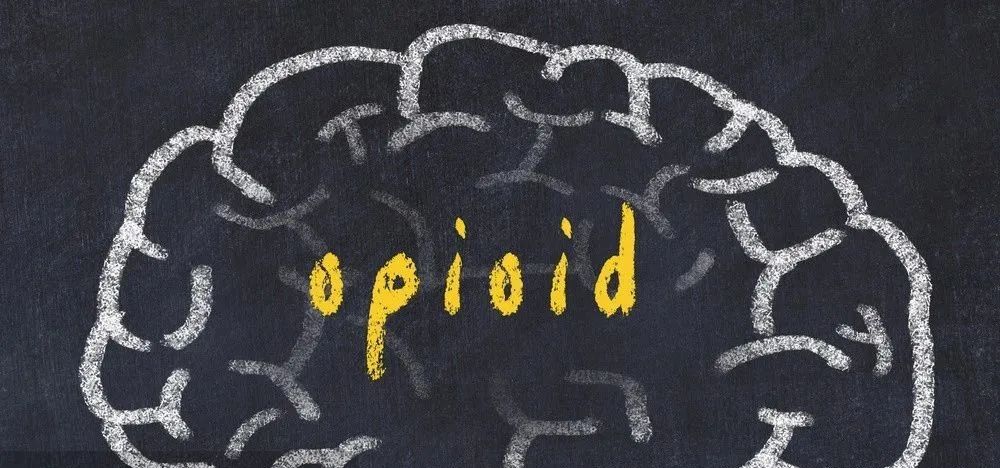 Opioid Administration During General Anesthesia: Is It Adequate?