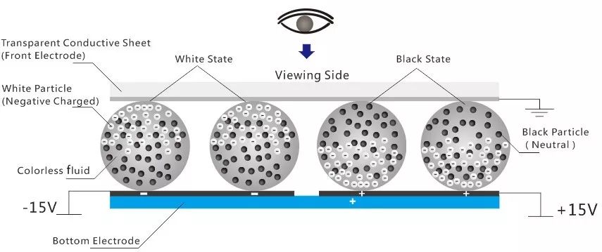 Analysis of Flexible Printed Electronics and E-Paper Display Technology