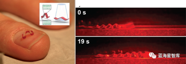 Development Status of Micrometer-Level Microrobots