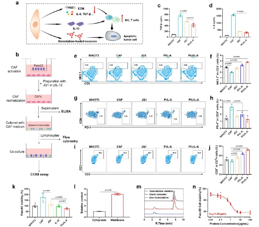 Transforming Cancer-Associated Fibroblast Barriers for Tumor Treatment