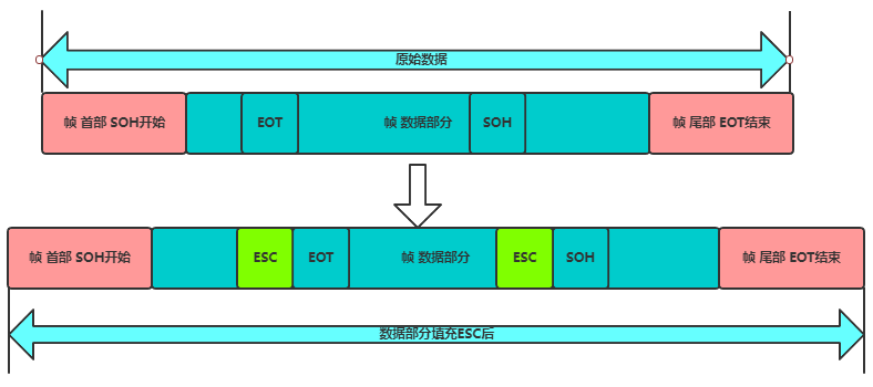 A Packet's Journey Through TCP/IP
