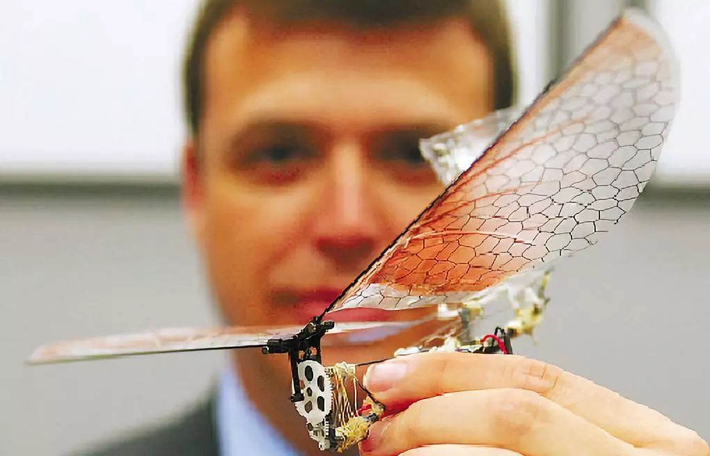 Micro Robots and Their Capabilities
