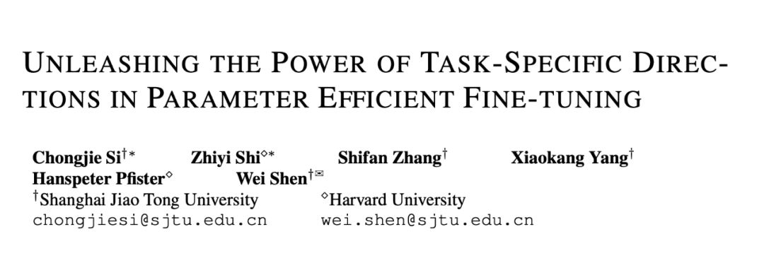 LoRA-Dash: A More Efficient Method for Task-Specific Fine-Tuning