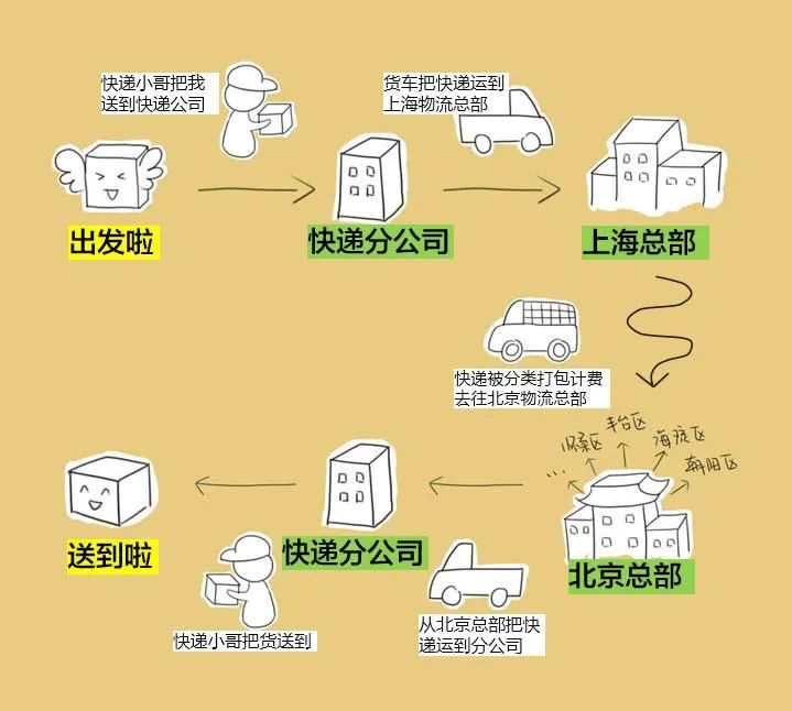 Understanding Carrier Networks Through Visuals