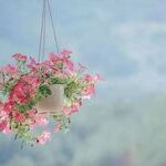 The Ultimate Explanation of Modal Verb: Can