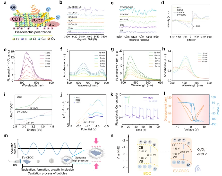 Oxygen Vacancy Piezoelectric Nanosheets for Ultrasound Tumor Therapy