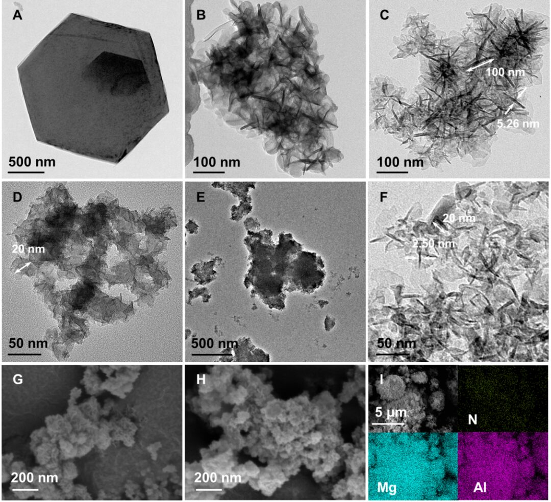 Amine-Functionalized Layered Double Hydroxides for Direct Air Capture of CO2