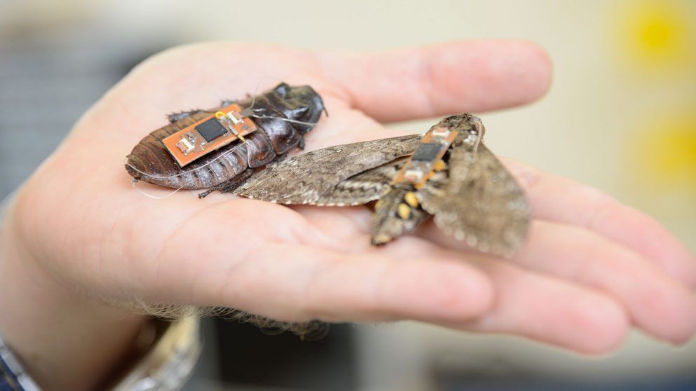 Micro Robots and Their Capabilities