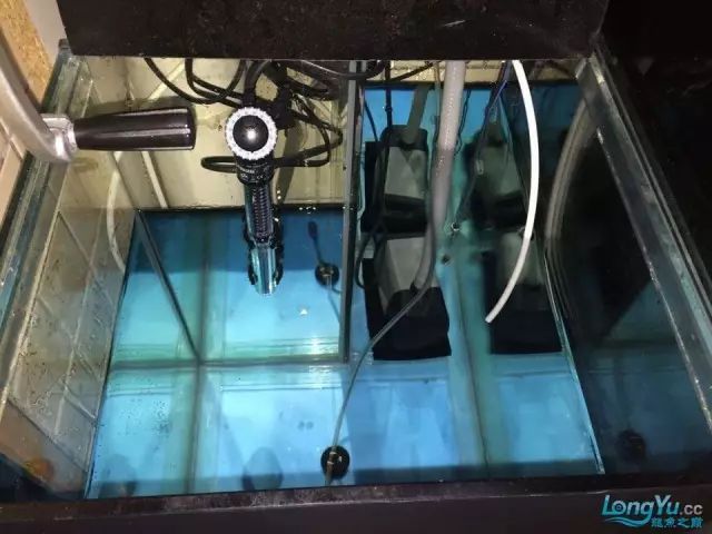 DIY Fully Automatic Water Change System