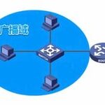 Understanding Enterprise Switch Networking: Basic Concepts