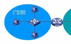 Understanding Enterprise Switch Networking: Basic Concepts