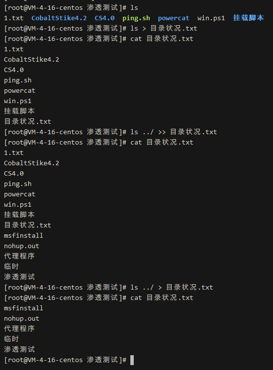 Essential Linux Commands for Information Gathering and Penetration Testing