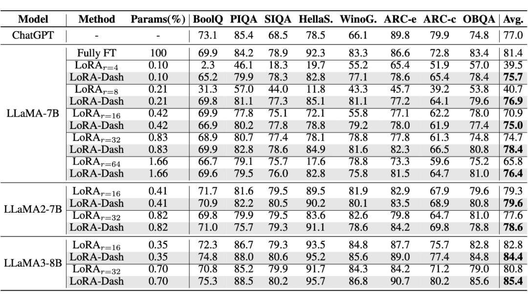 LoRA-Dash: A More Efficient Method for Task-Specific Fine-Tuning