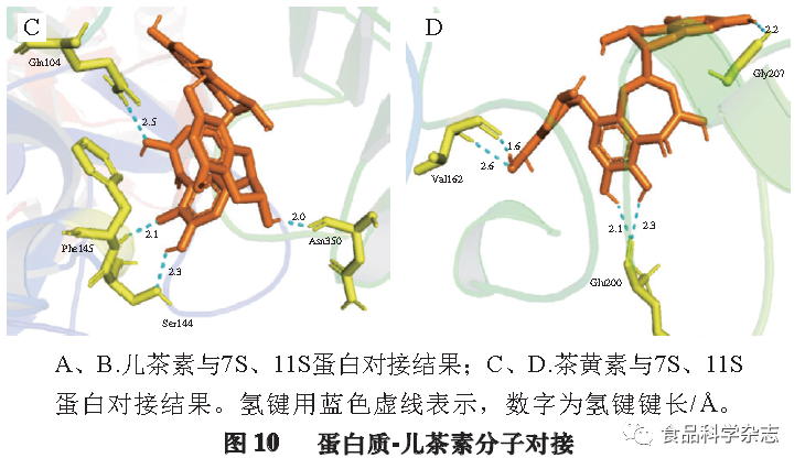 Effects Of Ultrasonic Pretreatment On Soy Protein-Isolate-Catechin Non-Covalent/Covalent Complex Structure And Function