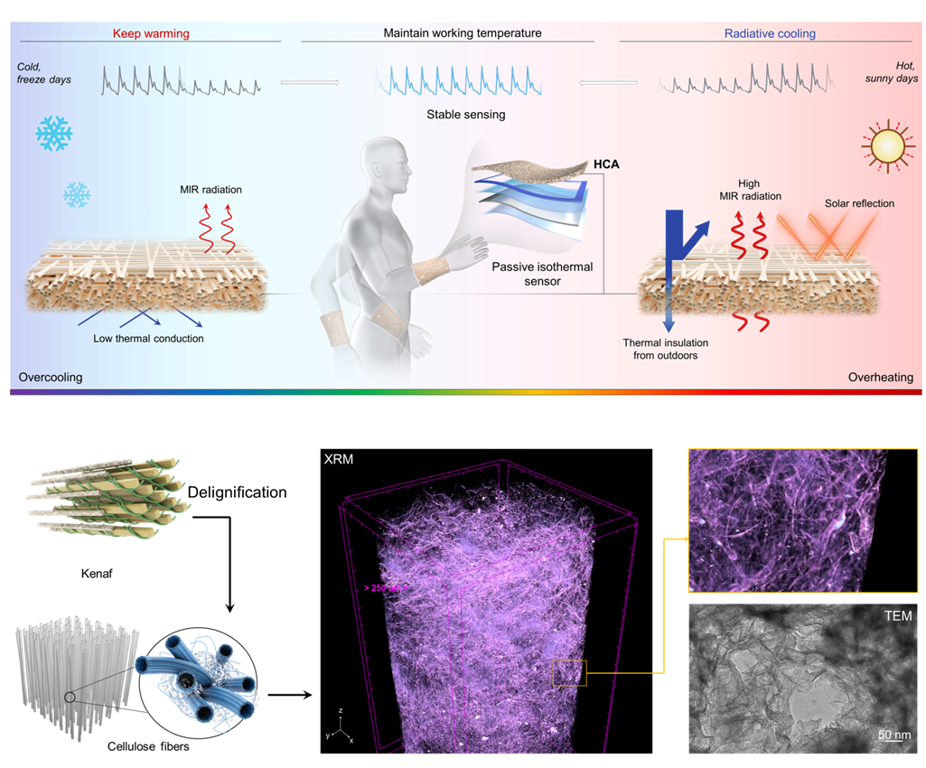 Dual Thermal Regulation Aerogels Enhance Flexible Sensor Stability