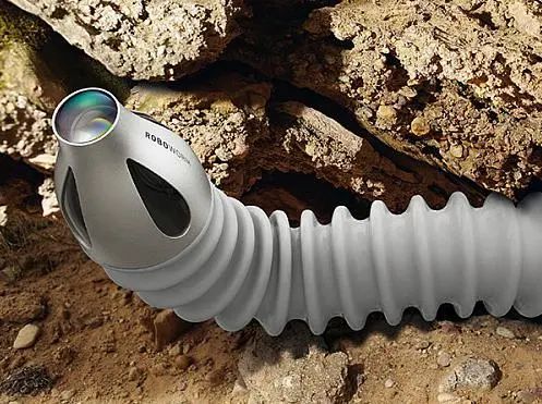 Building a Worm Robot: A DIY Guide